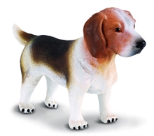 HC6 Chats et chiens - Beagle - M #