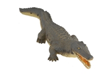 HC6 A. sauvages - Crocodile du Nil - L #