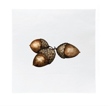 SGN - paper napkin lunch Christmas nuts - 16,5x16,5cm