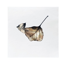SGN - paper napkinlunch autumn leaf - 16,5x16,5cm