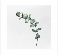 SGN - paper napkin coctail  eucalyptus - 12,5x12,5cm