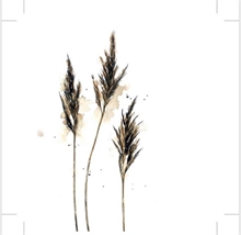 SGN - paper napkin lunch  reed - 16,5x16,5cm