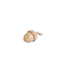 SGN - nut acacia medium - 6x10cm