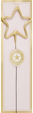 WDC - Star - Gold / Pink - Gold piece - Wondercandle® classic