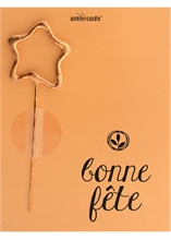 WDC - Bonne fête - Pastel Orange - Mini Wondercard