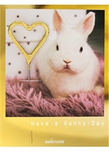 WDC - Have a bunny day - Golden Polaroid - Mini Wondercard