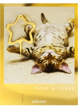 WDC - Have a break - Golden Polaroid - Mini Wondercard