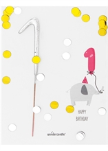 WDC - 1 - Baby Birthday - Confetti - Mini Wondercard